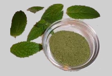 Mint Powder